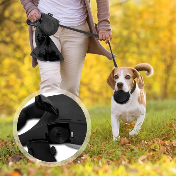 Ultimate Dog Walking Companion