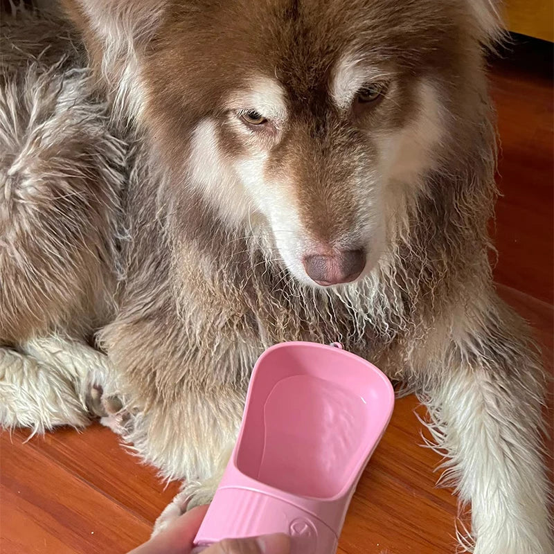 Dog Adventure Hydration Set